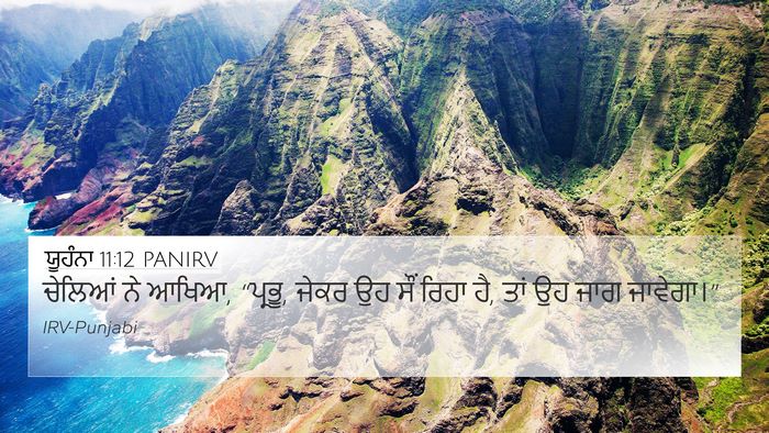 ਯੂਹੰਨਾ 11:12 PANIRV 4K Wallpaper - ਚੇਲਿਆਂ ਨੇ ਆਖਿਆ, - 4K Wallpaper Bible Verse