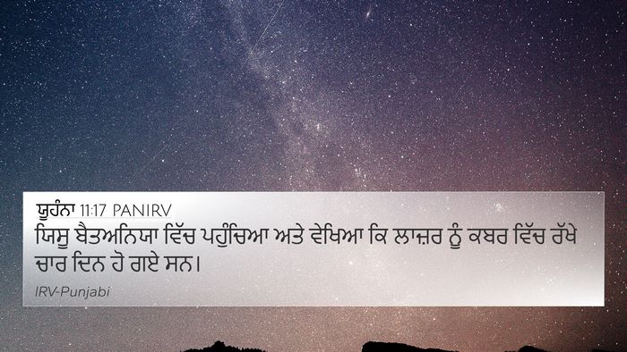 ਯੂਹੰਨਾ 11:17 PANIRV Bible Verse Image