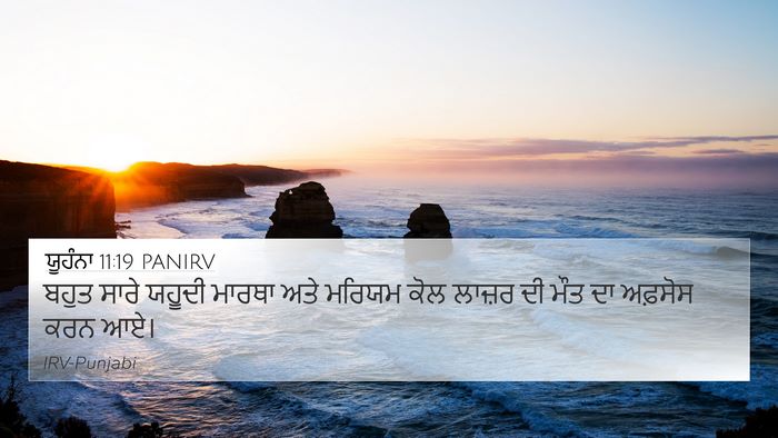 ਯੂਹੰਨਾ 11:19 PANIRV Bible Verse Image