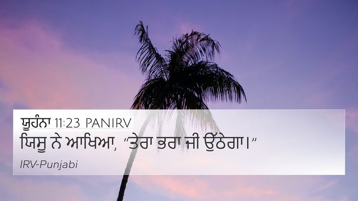 ਯੂਹੰਨਾ 11:23 PANIRV Bible Verse Image