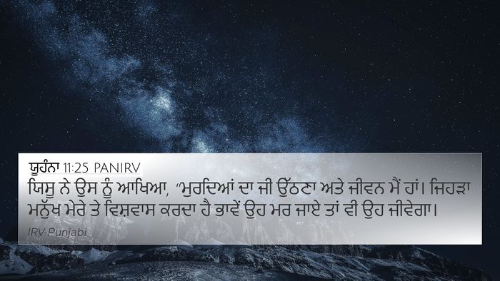 ਯੂਹੰਨਾ 11:25 PANIRV Bible Verse Image