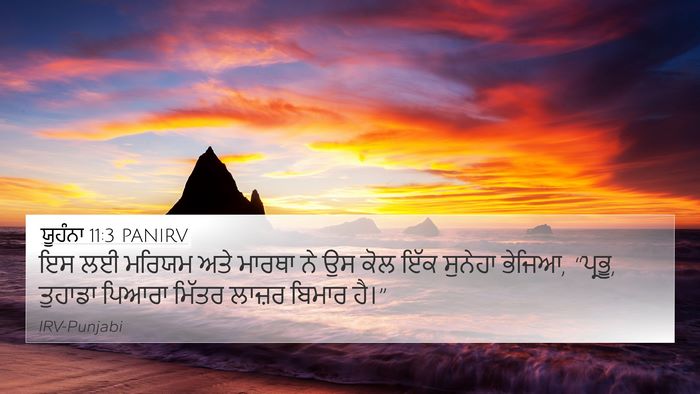 ਯੂਹੰਨਾ 11:3 PANIRV Bible Verse Image