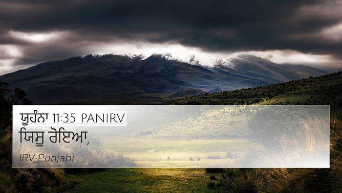 ਯੂਹੰਨਾ 11:35 PANIRV Bible Verse Image