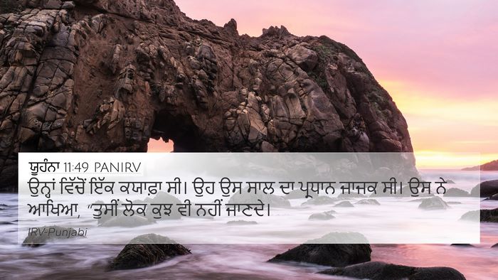 ਯੂਹੰਨਾ 11:49 PANIRV Bible Verse Image
