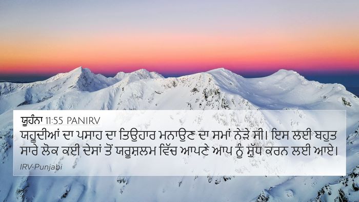 ਯੂਹੰਨਾ 11:55 PANIRV Bible Verse Image