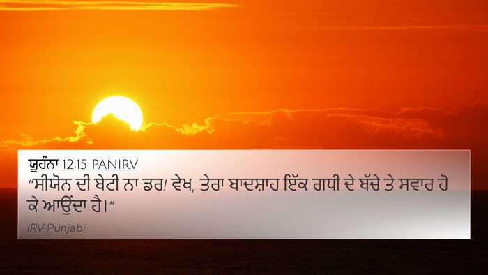 ਯੂਹੰਨਾ 12:15 PANIRV Bible Verse Image