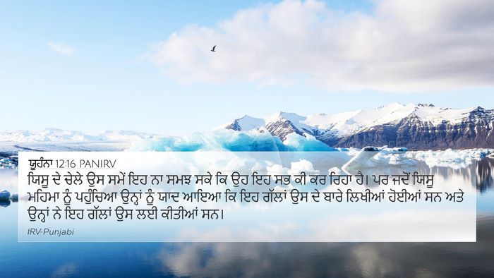 ਯੂਹੰਨਾ 12:16 PANIRV Bible Verse Image