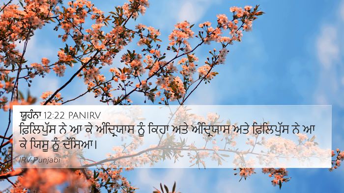 ਯੂਹੰਨਾ 12:22 PANIRV Bible Verse Image