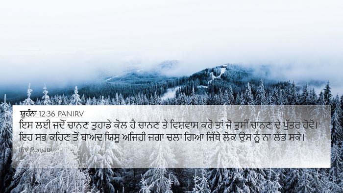 ਯੂਹੰਨਾ 12:36 PANIRV Bible Verse Image