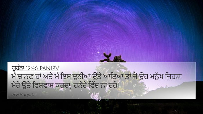 ਯੂਹੰਨਾ 12:46 PANIRV Bible Verse Image
