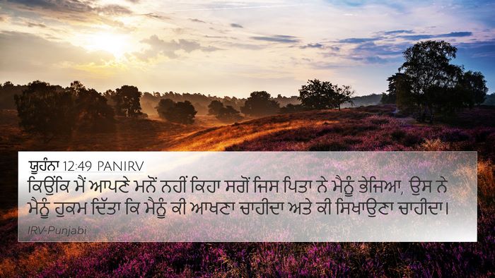 ਯੂਹੰਨਾ 12:49 PANIRV Bible Verse Image