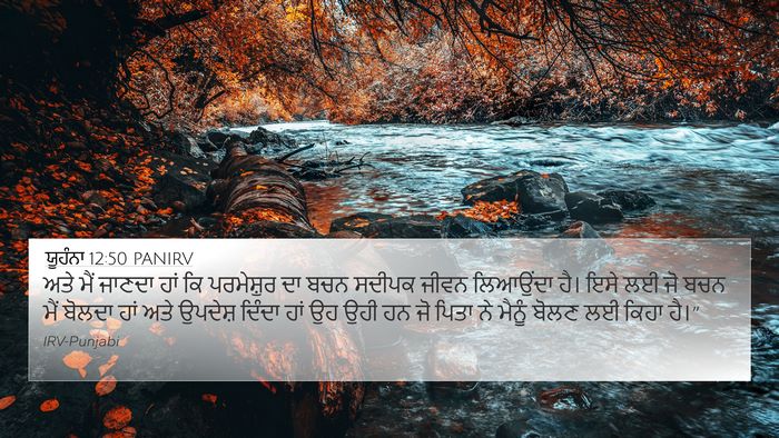 ਯੂਹੰਨਾ 12:50 PANIRV Bible Verse Image