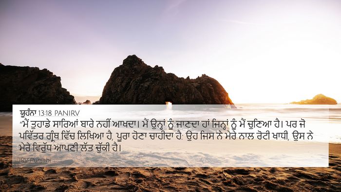 ਯੂਹੰਨਾ 13:18 PANIRV Bible Verse Image