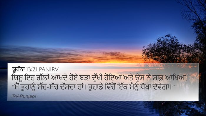 ਯੂਹੰਨਾ 13:21 PANIRV Bible Verse Image