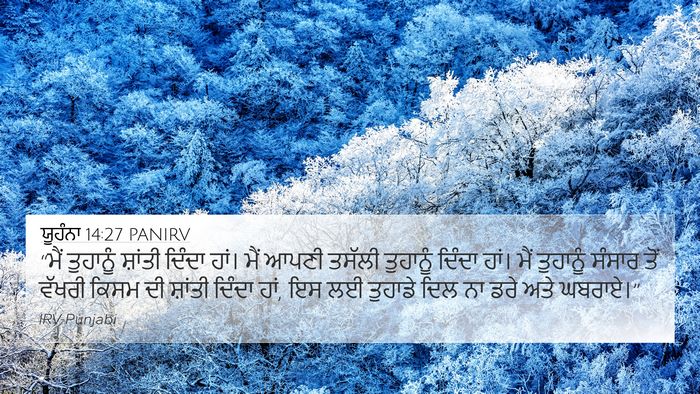 ਯੂਹੰਨਾ 14:27 PANIRV Bible Verse Image