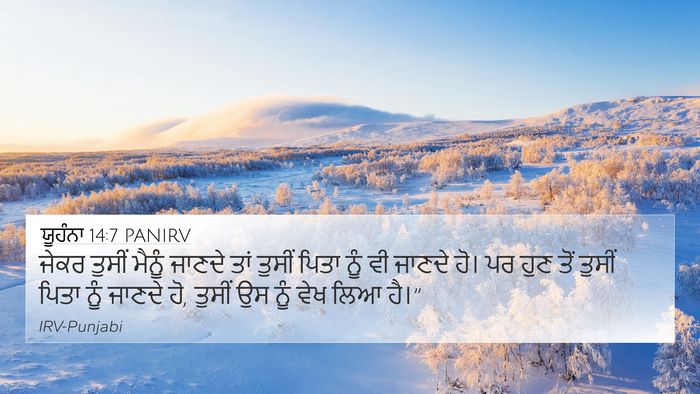 ਯੂਹੰਨਾ 14:7 PANIRV Bible Verse Image