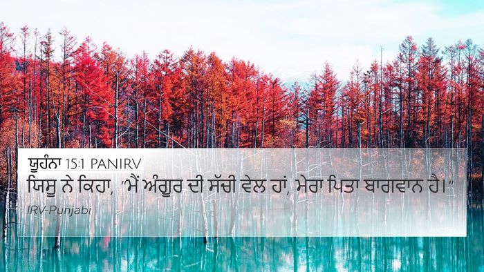 ਯੂਹੰਨਾ 15:1 PANIRV Bible Verse Image