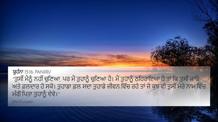 ਯੂਹੰਨਾ 15:16 PANIRV Bible Verse Image