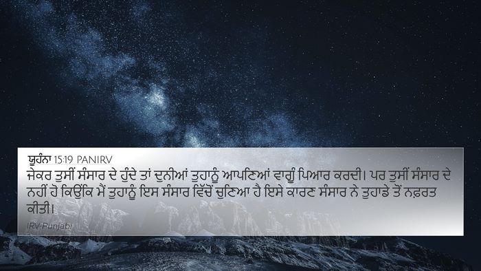ਯੂਹੰਨਾ 15:19 PANIRV Bible Verse Image