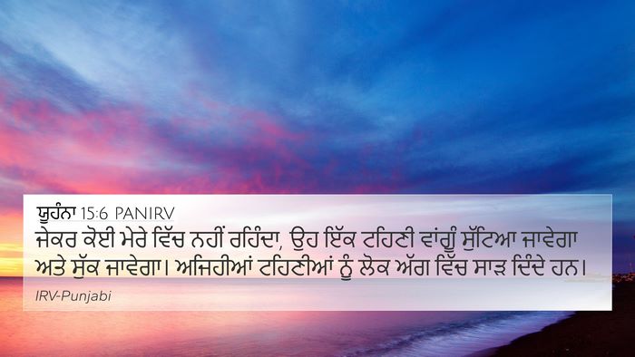 ਯੂਹੰਨਾ 15:6 PANIRV Bible Verse Image