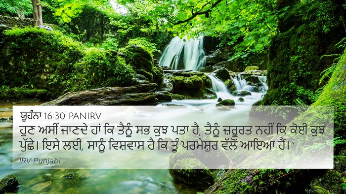 ਯੂਹੰਨਾ 16:30 PANIRV Bible Verse Image