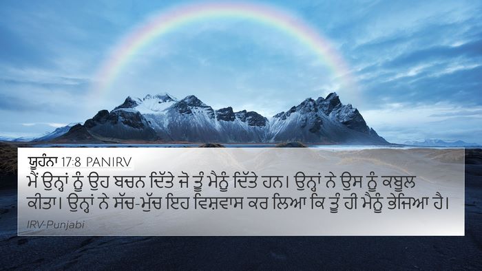 ਯੂਹੰਨਾ 17:8 PANIRV Bible Verse Image