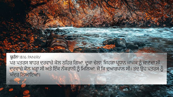 ਯੂਹੰਨਾ 18:16 PANIRV Bible Verse Image