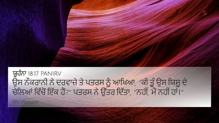 ਯੂਹੰਨਾ 18:17 PANIRV Bible Verse Image