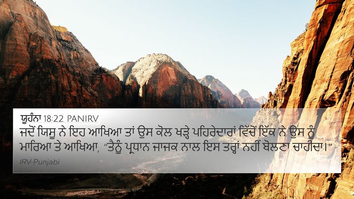 ਯੂਹੰਨਾ 18:22 PANIRV Bible Verse Image