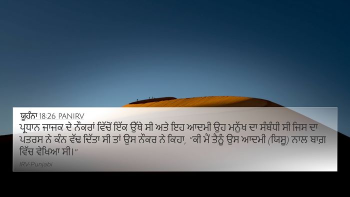 ਯੂਹੰਨਾ 18:26 PANIRV Bible Verse Image