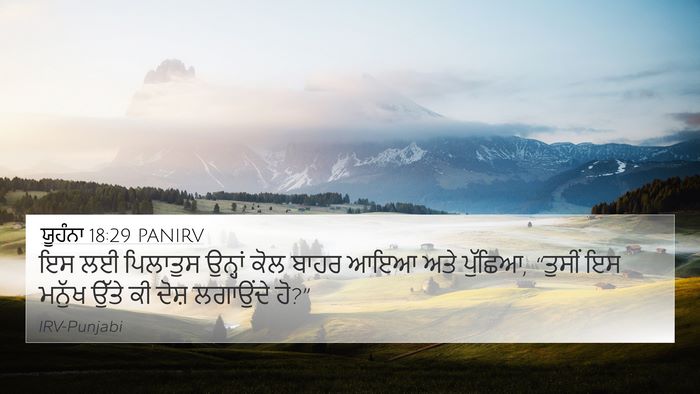 ਯੂਹੰਨਾ 18:29 PANIRV Bible Verse Image