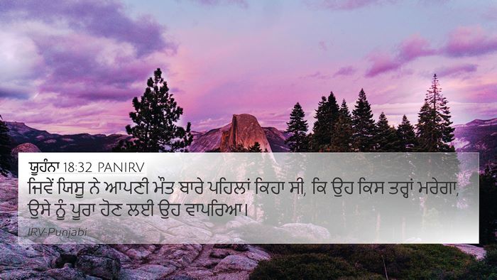 ਯੂਹੰਨਾ 18:32 PANIRV Bible Verse Image