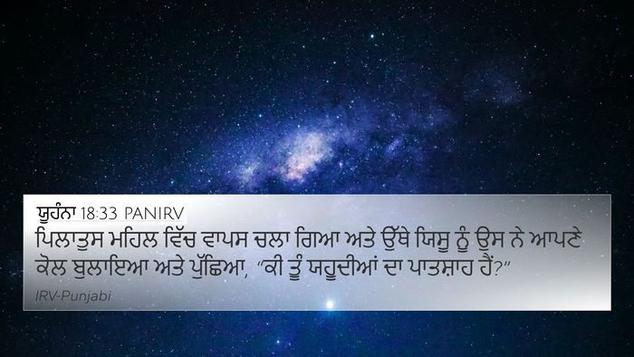 ਯੂਹੰਨਾ 18:33 PANIRV Bible Verse Image