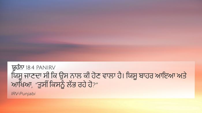 ਯੂਹੰਨਾ 18:4 PANIRV Bible Verse Image