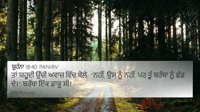 ਯੂਹੰਨਾ 18:40 PANIRV Bible Verse Image