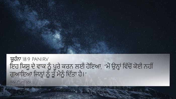 ਯੂਹੰਨਾ 18:9 PANIRV Bible Verse Image