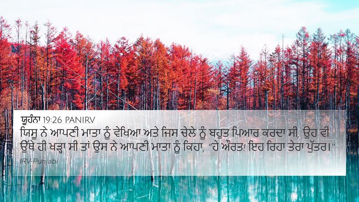 ਯੂਹੰਨਾ 19:26 PANIRV Bible Verse Image