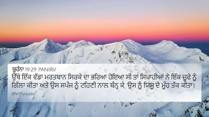 ਯੂਹੰਨਾ 19:29 PANIRV Bible Verse Image