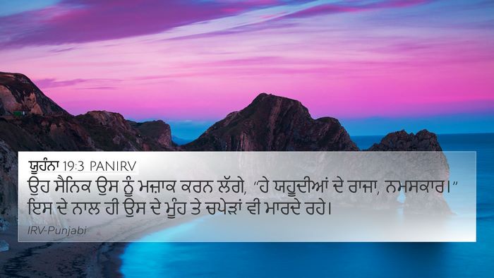 ਯੂਹੰਨਾ 19:3 PANIRV Bible Verse Image