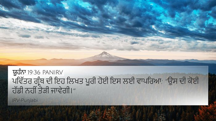 ਯੂਹੰਨਾ 19:36 PANIRV Bible Verse Image