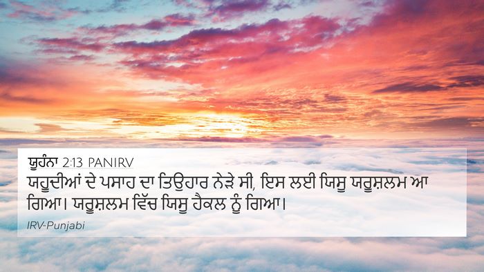 ਯੂਹੰਨਾ 2:13 PANIRV Bible Verse Image