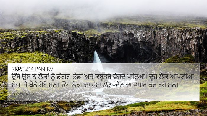 ਯੂਹੰਨਾ 2:14 PANIRV Bible Verse Image