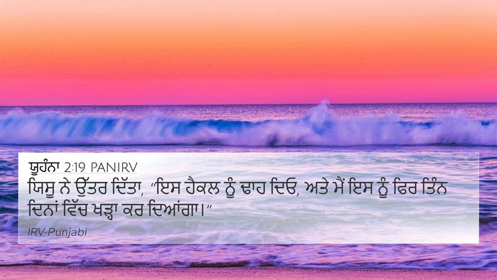 ਯੂਹੰਨਾ 2:19 PANIRV Bible Verse Image