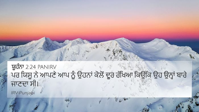 ਯੂਹੰਨਾ 2:24 PANIRV Bible Verse Image