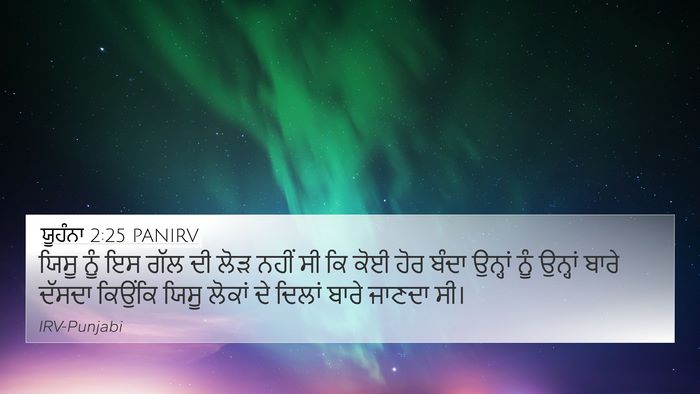 ਯੂਹੰਨਾ 2:25 PANIRV Bible Verse Image