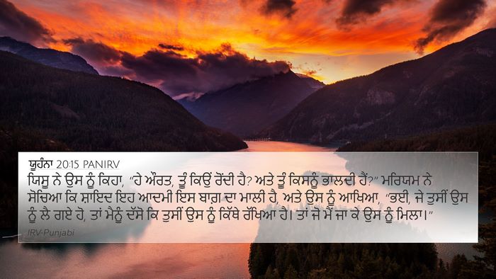 ਯੂਹੰਨਾ 20:15 PANIRV Bible Verse Image