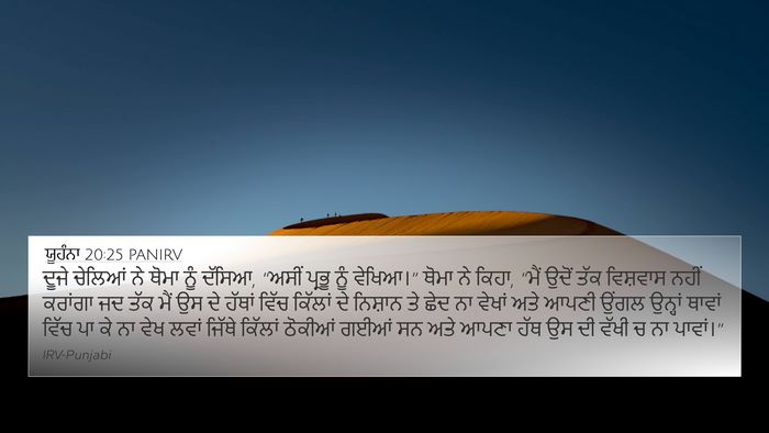 ਯੂਹੰਨਾ 20:25 PANIRV Bible Verse Image