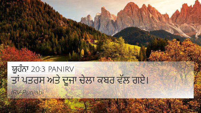 ਯੂਹੰਨਾ 20:3 PANIRV Bible Verse Image
