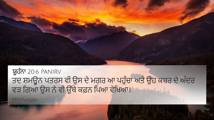 ਯੂਹੰਨਾ 20:6 PANIRV Bible Verse Image
