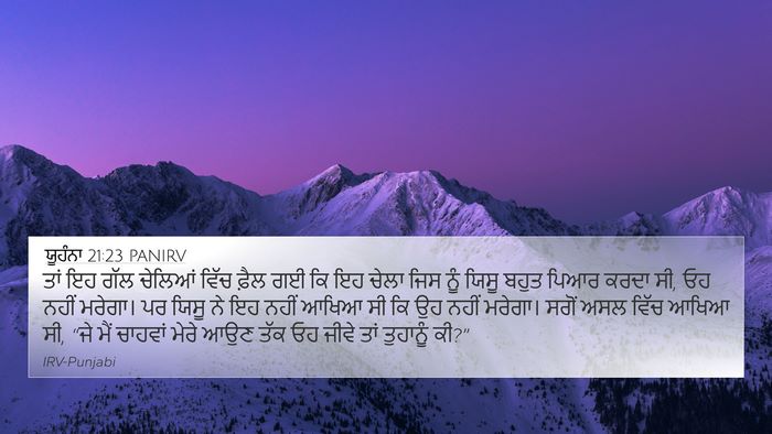 ਯੂਹੰਨਾ 21:23 PANIRV Bible Verse Image